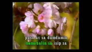 videoke opm  hulog ng langit [upl. by Lilyan294]