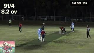 Sydney scorpions vs Avaani Cricket Club second inning highlights [upl. by Metzgar]