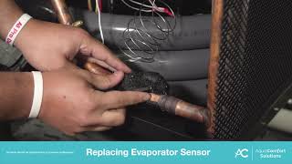 Replacing Evaporator Sensor [upl. by Nyllek]