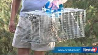 Havahart® Easy Set® Animal Traps  Humane Trapping at Its Best [upl. by Ahtan483]