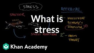 What is stress  Processing the Environment  MCAT  Khan Academy [upl. by Helbona]