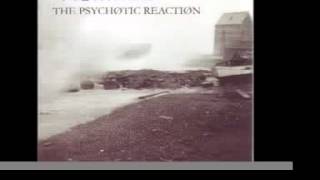 The Psychotic Reaction quotBass VIquot 2004 [upl. by Barnabas]