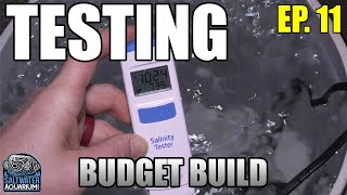 TESTING Your Tank – Beginner Saltwater Budget Aquarium [upl. by Enerod]