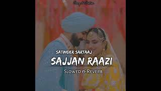 Sajjan Raazi Song Slowed amp Reverb Satinder Sartaaj [upl. by Attesoj]