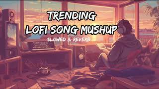 The Best Lofi Song Mushup of the Year Unmissable  love music [upl. by Eedia95]