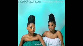 Naledi Aphiwe amp Fezeka Dlamini  Zojiki Izinto  Official audio [upl. by Ransome]