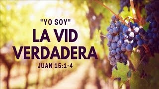 Estudio Bíblico  Jesús es la vid verdadera  REFLEXIÓN [upl. by Naraj]