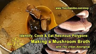 Identify Cook amp Eat the Resinous Polypore Making Mushroom Broth w The UrbanAboriginal [upl. by Asined]