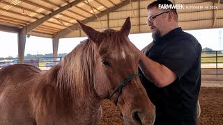 Farmweek  Healing Horses  November 14 2024 [upl. by Adnovad]