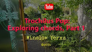 Trochilus Pop Exploring Chords Part 1 Helens Rose [upl. by Dupuy]