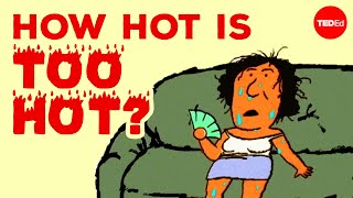 How does extreme heat affect your body  Carolyn Beans [upl. by Etteroma38]