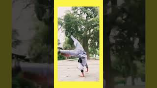 Shaolin monk performance martialarts kungfu china kungfupractice [upl. by Aydin]