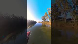 La Albufera mejora amigs like nature valencia live travel happy 2024 gracias [upl. by Adriell]