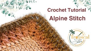 CROCHET ALPINE STITCH  All Skill Levels [upl. by Robb]