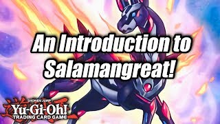 YuGiOh An Introduction to Salamangreat [upl. by Carlen]