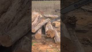 FARMERTECHOLZFFORMA G288 CUTTING OAK [upl. by Hsac]