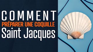 Comment Préparer une Coquille Saint Jacques [upl. by Adnalu]