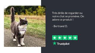 Avis truspilot pour chats [upl. by Vaclava]