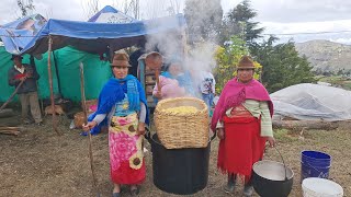 PREPARATIVOS DE BODA amp RECEPCIÓN EN GRADO DE Toapanta Alexandra Rumipungo Pujilí Cotopaxi 2023 [upl. by Ojibbob]