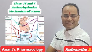 Class IV amp Class V Antiarrhythmics [upl. by Hoenack]