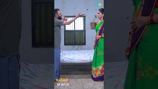 Malli Serial Shorts  Ep 187  3  Nikitha  Vijay  Saregama TV Shows Tamil shorts ytshorts [upl. by Milewski239]