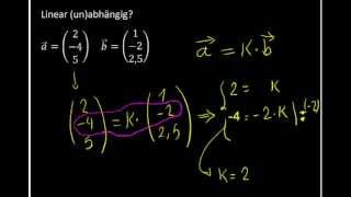 lineare UnAbhängigkeit zweier VektorenTeil 1 [upl. by Assirroc]