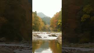 Autumn river sounds autumn river [upl. by Malaspina17]