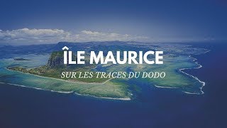 Le guide pour tout savoir sur le voyage à lILE MAURICE [upl. by Enovaj59]