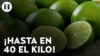 ¡Carísimo Precio del limón sube a consecuencia del cobro de piso a productores en Apatzingan [upl. by Leventis]