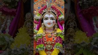 Jai Radhe Krishna bolo jaishort song video [upl. by Cadmarr]