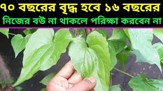 হীরার থেকেও মূল্যবান এই গাছhealth benefits of Pakistani lota [upl. by Drislane]