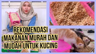 CARA KASIH MAKAN KUCING TEMPE  REKOMENDASI MAKANAN MURAH MUDAH DAN SEHAT UNTUK ANABUL [upl. by Anomas]