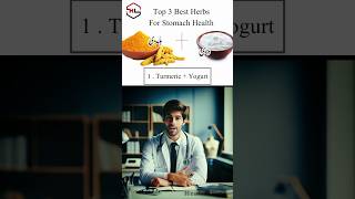 Top 3 Herbs for Stomach Health  Gut health health stomach herbsforhealth shorts foryou [upl. by Labanna778]