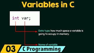 Introduction to Variables [upl. by Aihsat]