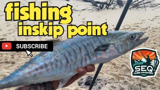 inskip point fishing [upl. by Surad788]