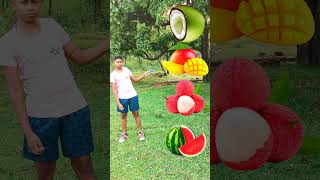 Rounding Cut Green coconut to Grapes Mango lichi amp Watermelon  Fruits names magic video [upl. by Asli696]