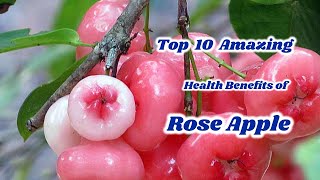 Top 10 Amazing Health Benefits of Rose Apple  Health Tips  Sky world [upl. by Sirron459]