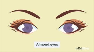 How to Determine Eye Shape [upl. by Atoiganap136]