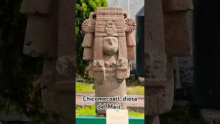 Chicomecoatl diosa del maíz en la Casa de Morelos Ecatepec diadelmaiz [upl. by Peterec]