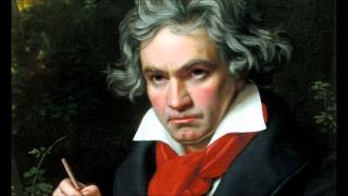 Ludwig Van Beethovens 5th Symphony in C Minor Full [upl. by Lenor]