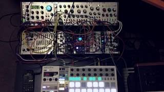 Beatstep Pro  Eurorack  First Test [upl. by Aenil]