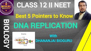 BEST FIVE POINTERS TO KNOW DNA REPLICATION II CLASS 12 II NEET II NCERT II [upl. by Ocire]