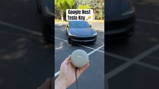 Can I Unlock My Tesla With a Google Nest Mini 😳👀 [upl. by Iggie951]