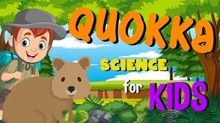 Quokka  Science for Kids [upl. by Phonsa243]