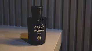 Acqua Di Parma Oud EDP น้ำหอมคุณพิธาใช้ 🍊🍊🍊  DrFragrance Thailand [upl. by Hewie]