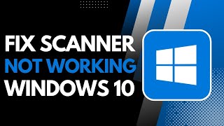 How to Fix Scanner Not Working in Windows 10 [upl. by Doner90]