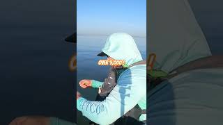 WHY YOU NEED TO USE A BAITCASTER… this happens kayakfishing baitcaster fish [upl. by Elizabeth]