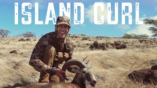 HUNTING WILD SHEEP IN HAWAII A MOUFLON HUNTING STORY [upl. by Franklin]