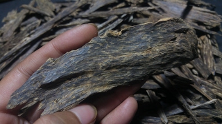 Good grade of Agarwood for Incense العود عود Aloeswood 香 沉香 沈香 伽羅 [upl. by Ulda316]