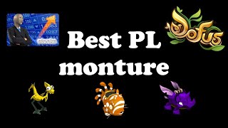 New PL sur DOFUS  spécial monture [upl. by Suhcnip198]